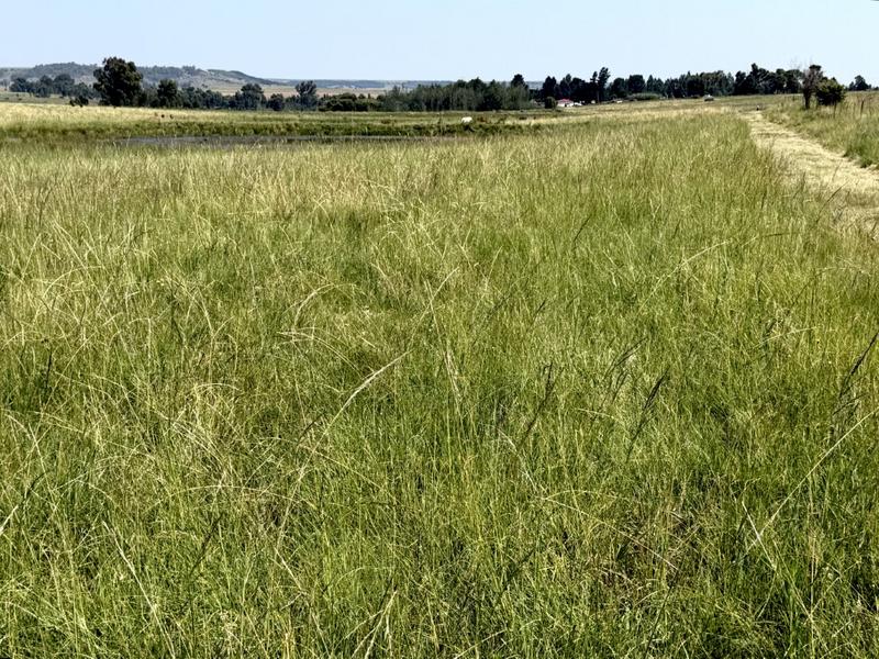 0 Bedroom Property for Sale in Bethlehem Rural Free State